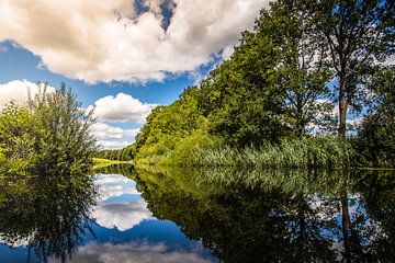 la Regge sur Freddy Hoevers