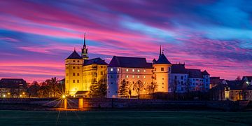 Kasteel Hartenfels in Torgau van Martin Wasilewski