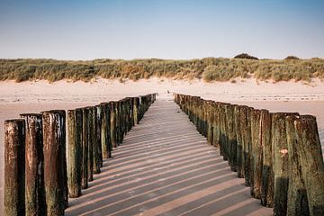 Poteaux de plage de Flessingue dans les ombres chaudes de la mer