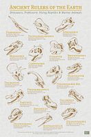 Dinosaurs and other Ancient Rulers poster