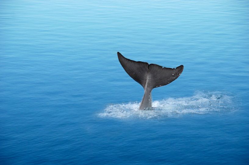 Waterworld 1 van Heike Hultsch