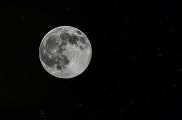 De volle maan