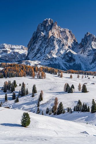 Sassolungo op de Alpe di Siusi in de herfst
