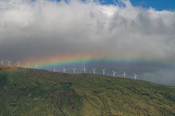 Regenbogen und Windmühlen