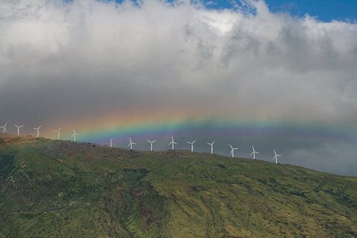 Regenboog en windmolens