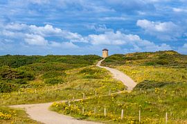 Durch die Dünen nach Domburg #321 von Danny Bastiaanse