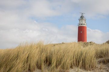 Leuchtturm von Texel von den Dünen aus von Marjon Kocks