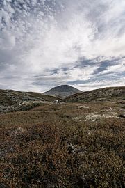 Norvège | Le mont Muen et la toundra à Rondane sur Dylan Winter Visuals