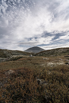 Noorwegen | Berg Muen en Toendra in Rondane