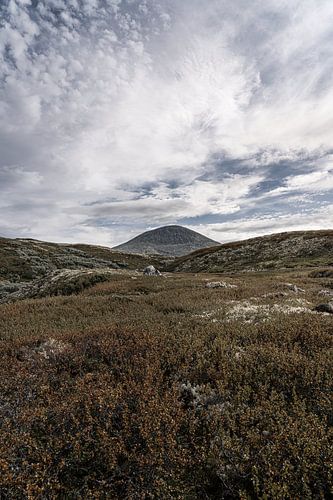 Norvège | Le mont Muen et la toundra à Rondane