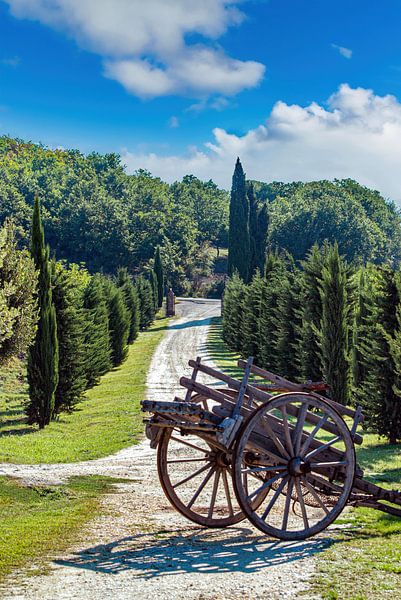 Welcome to Tuscany | Driveway with Covered Wagon and Cypresses by RB-Photography