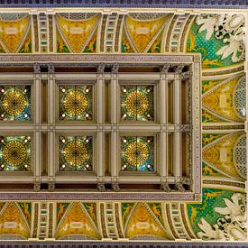 Roof of Washington Library of Congress van Frans