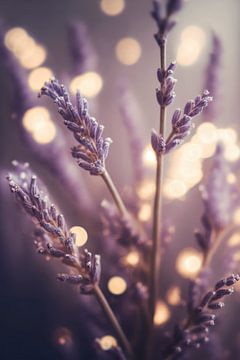 Lavender Detail by Treechild