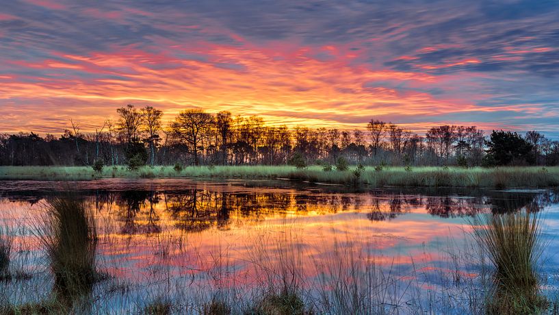 Zonsopkomst in de Klotterpeel van Harold van den Hurk