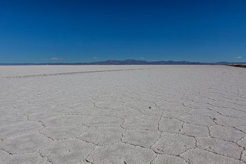 Zoutvlakte van Salinas Grandes in Salta, Noord Argentinië, Zuid-Amerika van WorldWidePhotoWeb