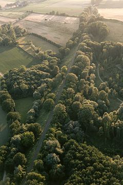 Prachtig groen landschap | Luchtfoto van Zuid-Limburg, Nederland. Landschap en natuurfotografie van Studio Rood