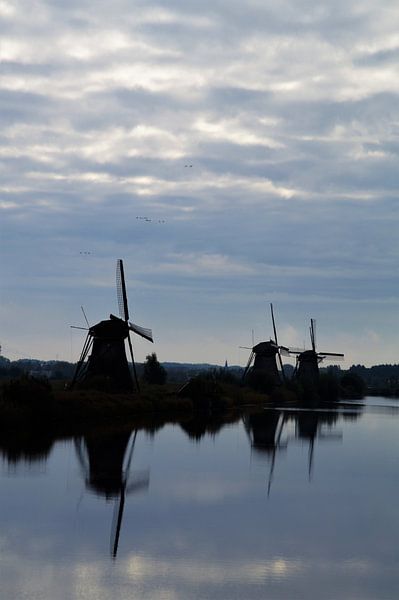 Kinderdijk, Alblasserdam, die Niederlande - Mühlenerbe von Maurits Bredius