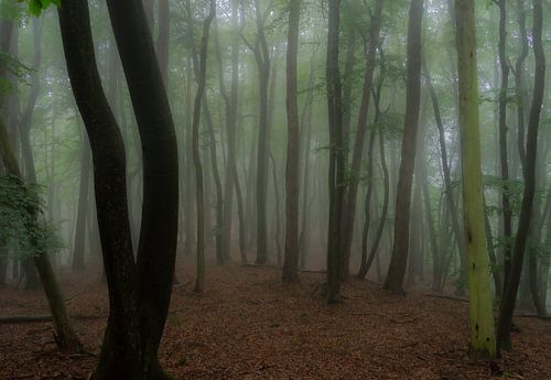 Un matin tôt et pluvieux