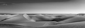 Gran Canaria met duinen bij Maspalomas in zwart en wit . van Manfred Voss, Schwarz-weiss Fotografie