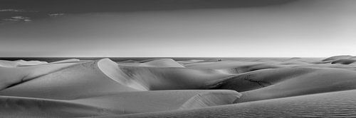 Gran Canaria met duinen bij Maspalomas in zwart en wit .