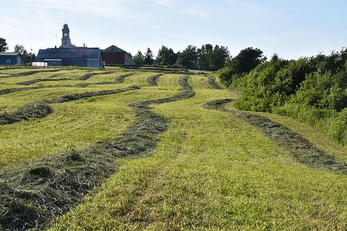 Een akker tijdens de oogst