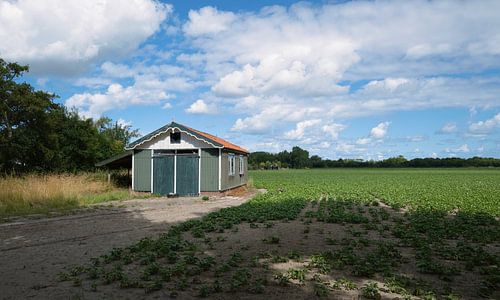 Scheune eines Bauern bei Koudekerke