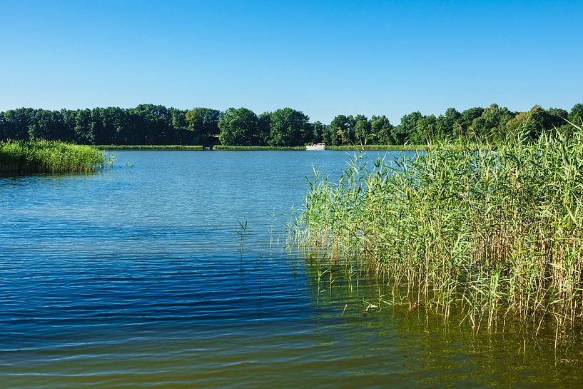 Landschaft am Kleinen Pälitzsee bei Pälitzhof von Rico Ködder