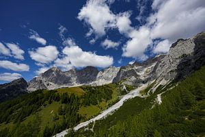 Dachstein Mark IV