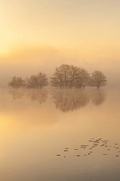 The Flaes in the morning fog