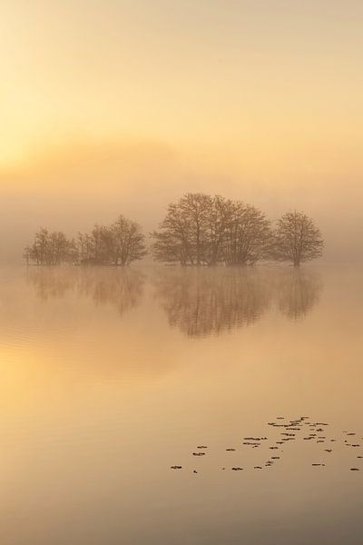 The Flaes in the morning fog by Boris Van Berkel