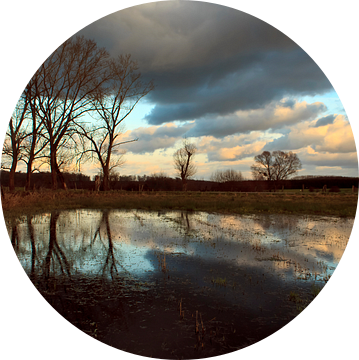 Natte weilanden  van marleen brauers