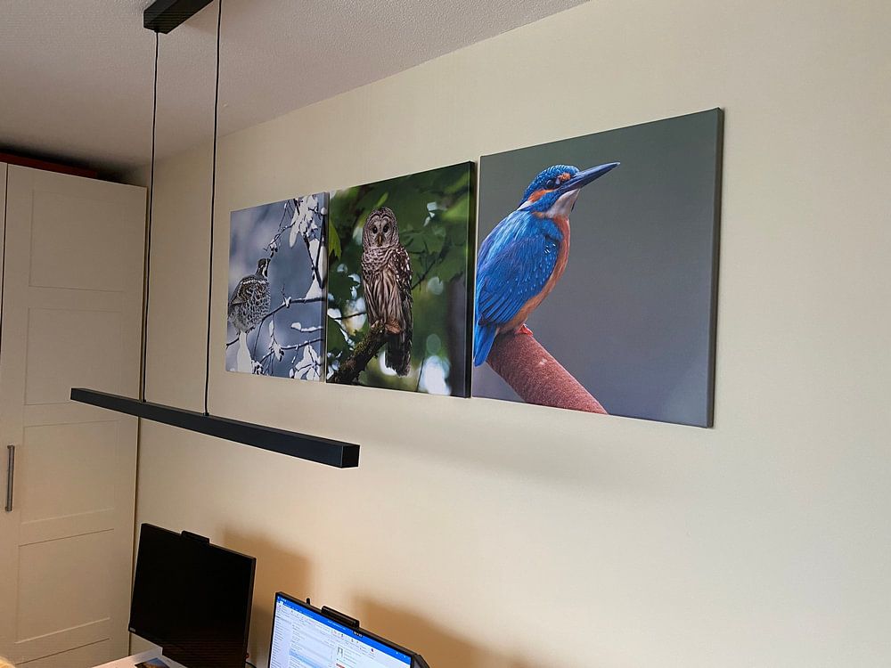 Haselhuhn (Bonasia bonasia) im Schnee. von Beschermingswerk voor aan uw muur