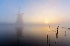 Kinderdeich vom Feinsten! von Remco Van Daalen