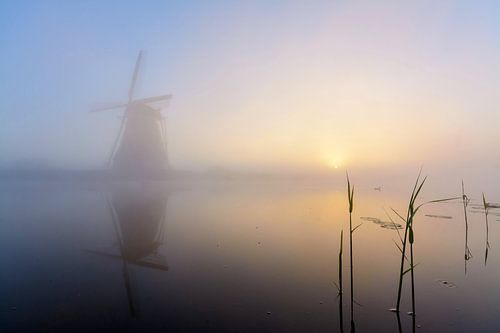 Children's dike at its best!