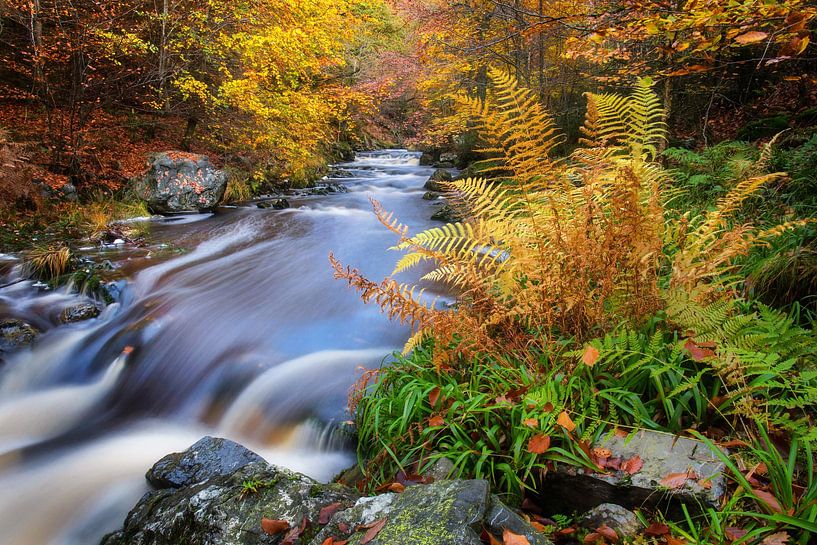 La Hoegne van Martijn Schruijer