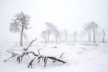 Winter in de Ardennen van Andy Luberti