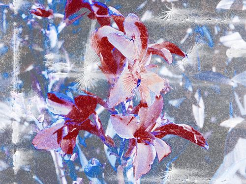 FlowerPower Fantasy 5-C