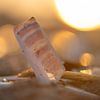 Een mes in de zon van Yvonne van Leeuwen