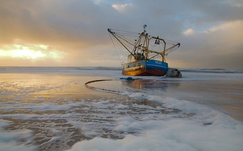 Black Jack garnalenvisser