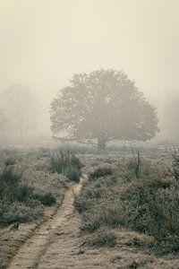 Matins brumeux I
