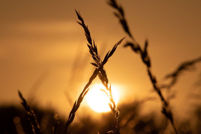 Setting sun by DTC Art