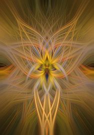 The Dark Hedges, Irland von Henk Meijer Photography