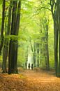 Forest painting. creatieve bewerking van een foto van 2 paarden tussen hoge boomstammen in een bos van Birgitte Bergman thumbnail