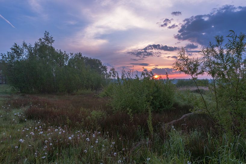 Nature au lever du soleil par Daphne Kleine