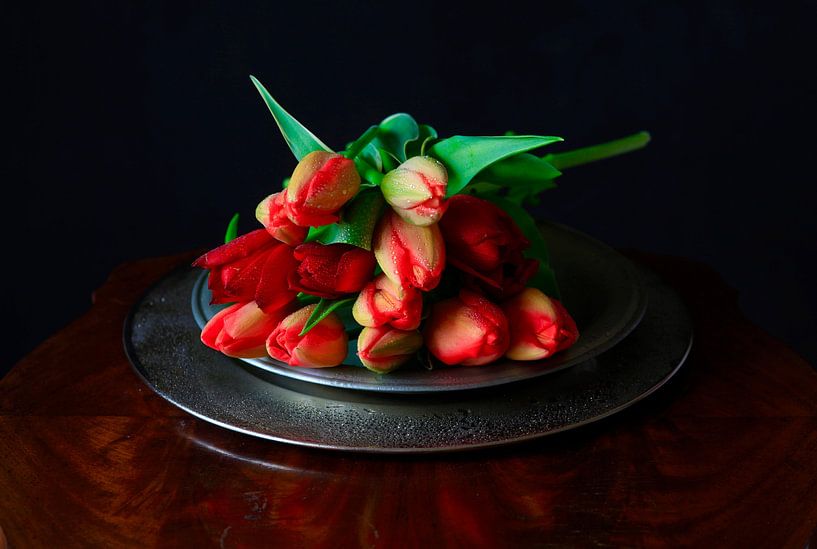 Tulpen von Thomas Jäger