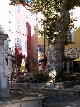 bron en eik aan cote d'azure sur Mirjam van Ginkel