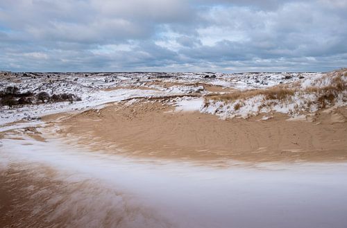 Amsterdamse Waterleiding Duinen