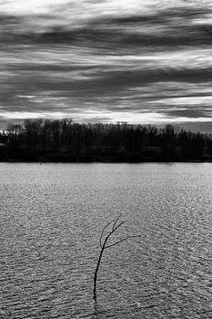 Réflexion silencieuse : le minimalisme au bord de l'eau