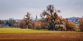 Vallée de la Geul Wijlre