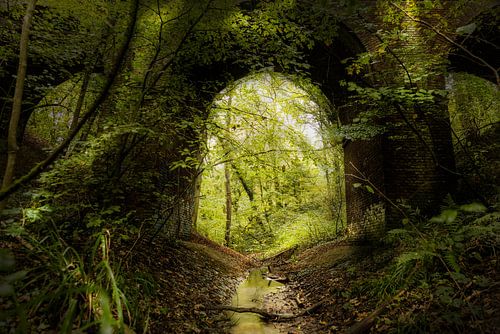 Bach unter Brücke im Wald